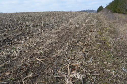 Property photo 17 - 98+/- Acres Offered in 6 Tracts or Combinations, Noble County, Indiana Farm